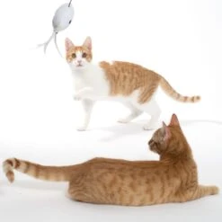 Warner Bros Harry Potter Hedwig Cat Dangler Toy 1 Dangler Toy -Zooplus Store 567841 cat fg 1533 5