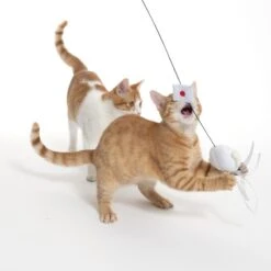 Warner Bros Harry Potter Hedwig Cat Dangler Toy 1 Dangler Toy -Zooplus Store 567841 cat fg 1534 3