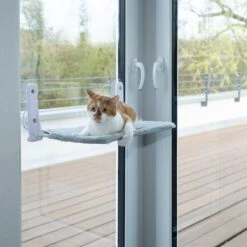 Zooplus Basics Cat Window Bed 51 X 31cm (L X W) 9 Zooplus Basics Cat Window Bed 51 X 31cm (L X W) -Zooplus Store 574096 cat fg 7665 2