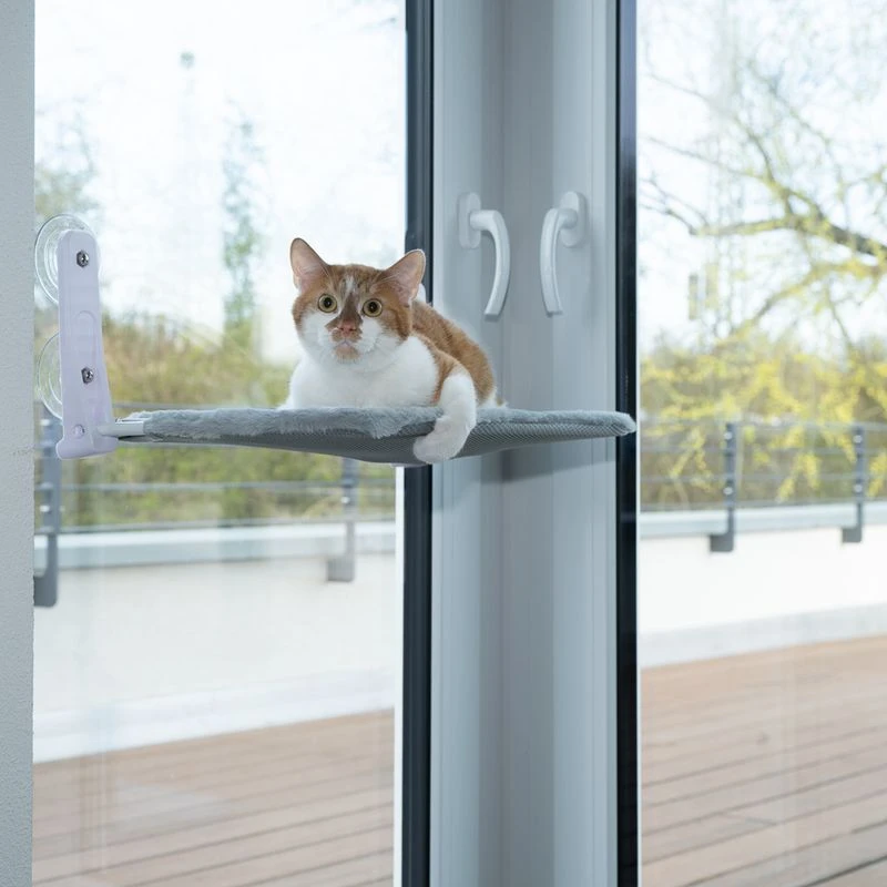 zooplus Basics Cat Window Bed 51 x 31cm (L x W) Zooplus Basics Cat Window Bed 51 X 31cm (L X W) -Zooplus Store 574096 cat fg 7668 4