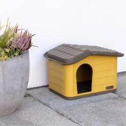 Kerbl Pet Paola Eco Cat House Yellow/ Black: 60 X 51 X 41cm (L X W X H) -Zooplus Store 607742 kerbl katzenhaus paola eco 60x51x41cm honey schwarz 1000x1000 hs 02 2 1