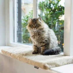 Beeztees Cuddly Set Moza - Beige Cat Bed + Window Sill Cushion -Zooplus Store 609412 beeztees fensterbankkissen moza 65x27cm beige 1000x1000 hs 02 2