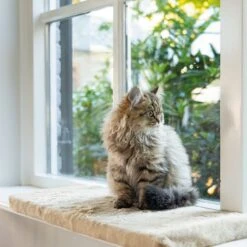 Beeztees Cuddly Set Moza - Beige Cat Bed + Window Sill Cushion -Zooplus Store 609412 beeztees fensterbankkissen moza 65x27cm beige 1000x1000 hs 03 3