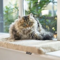 Beeztees Window Sill Cushion Moza 65 X 27 X 3cm (L X W X H) 8 Beeztees Window Sill Cushion Moza 65 X 27 X 3cm (L X W X H) -Zooplus Store 609412 beeztees fensterbankkissen moza 65x27cm beige 1000x1000 hs 04 9 1