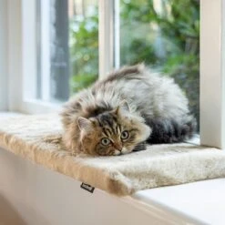 Beeztees Window Sill Cushion Moza 65 X 27 X 3cm (L X W X H) 3 Beeztees Window Sill Cushion Moza 65 X 27 X 3cm (L X W X H) -Zooplus Store 609412 beeztees fensterbankkissen moza 65x27cm beige 1000x1000 hs 05 5 1