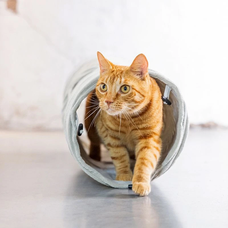 Designed by Lotte Cat Tunnel Ribbed 25 x 75cm (W x L) Designed By Lotte Cat Tunnel Ribbed 25 X 75cm (W X L) -Zooplus Store