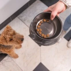 Designed By Lotte Marble Melamine Feeding Bowl - Black Saver Pack: 2 X 700ml, Diameter 22cm 6 Designed By Lotte Marble Melamine Feeding Bowl - Black Saver Pack: 2 X 700ml, Diameter 22cm -Zooplus Store 6525999 dbl melamine katzennapf 350ml 17 5xh6 5cm schwarz 1000x1000 hs 06 9 2