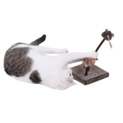 Wild Mouse Cat Toy Set With Sounds & LEDs 2 Piece Set 7 Wild Mouse Cat Toy Set With Sounds & LEDs 2 Piece Set -Zooplus Store 67335 sincerepet katzenspielbrett wild mouse fg 7713 8