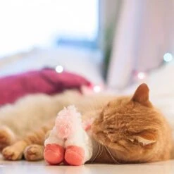 Aumüller Unicorn Cat Toy 1 Toy 9 Aumüller Unicorn Cat Toy 1 Toy -Zooplus Store 72914 aumueller katzenspielzeugeinhorn hs image magiceinhorn 04 2