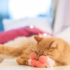 Aumüller Unicorn Cat Toy 1 Toy 6 Aumüller Unicorn Cat Toy 1 Toy -Zooplus Store 72914 aumueller katzenspielzeugeinhorn hs image magiceinhorn 05 7