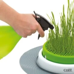 Catit Senses 2.0 Grass Planter Grass Planter 5 Catit Senses 2.0 Grass Planter Grass Planter -Zooplus Store 73855 hagen catitsenses2 0 grastopf hs 05 8