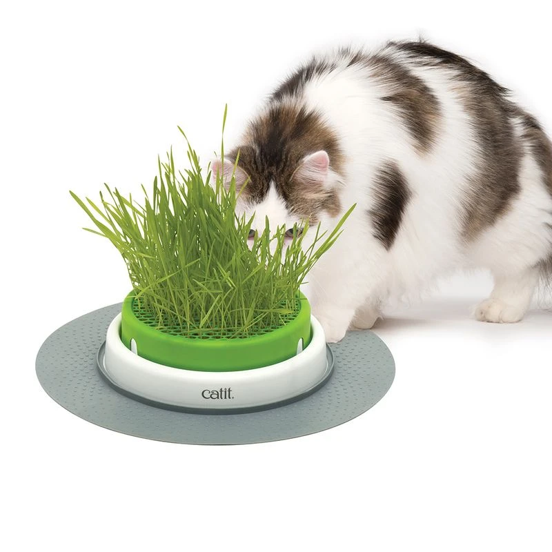 Catit Senses 2.0 Grass Planter Grass Planter Catit Senses 2.0 Grass Planter Grass Planter -Zooplus Store 73855 hagen catitsenses2 0 grastopf hs 07 5