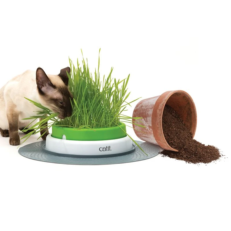 Catit Senses 2.0 Grass Planter Grass Planter Catit Senses 2.0 Grass Planter Grass Planter -Zooplus Store 73855 hagen catitsenses2 0 grastopf hs 08 2