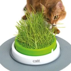Catit Senses 2.0 Grass Planter Grass Planter 9 Catit Senses 2.0 Grass Planter Grass Planter -Zooplus Store 73855 hagen catitsenses2 0 grastopf hs 09 7