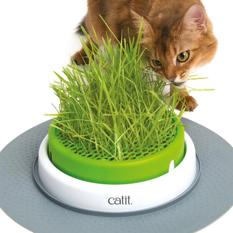 Catit Senses 2.0 Grass Planter Grass Planter Catit Senses 2.0 Grass Planter Grass Planter -Zooplus Store 73855 hagen catitsenses2 0 grastopf hs 09 7