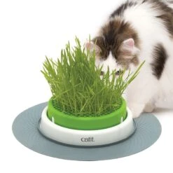 Catit Senses 2.0 Grass Planter Grass Planter 10 Catit Senses 2.0 Grass Planter Grass Planter -Zooplus Store 73855 hagen catitsenses2 0 grastopf hs 10 7
