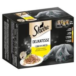 Sheba Pouches Select Slices In Gravy 48 X 85g Poultry Collection In Gravy 5 Sheba Pouches Select Slices In Gravy 48 X 85g Poultry Collection In Gravy -Zooplus Store 74935 pla sheba selection gefluegel variationen gelee 85g 3 5