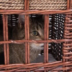 Pueblo Cat Den Brown - 56 X 36 X 42 Cm (L X W X H) -Zooplus Store 76089 katzenhaus pueblo fg 3796 1