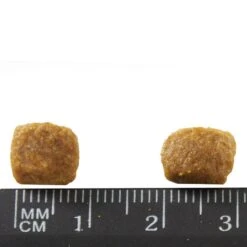 PURINA ONE Adult Salmon 1,5 Kg -Zooplus Store 81592 purinaone adultlachs 450g hs 03 9