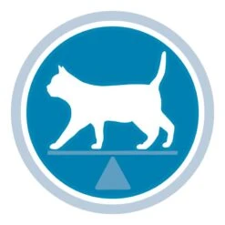 PURINA ONE Sterilized Indoor Chicken 1,5 Kg 3 PURINA ONE Sterilized Indoor Chicken 1,5 Kg -Zooplus Store 81602 purinaone sterilized indoorhuhn 1 5kg hs 04 1