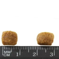 PURINA ONE Adult Salmon 1,5 Kg -Zooplus Store 81703 purinaone adultlachs 1 5kg hs 03 9