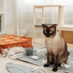 Modern Living Bora Bora Cat House 70 X 35 X 60cm (L X W X H) -Zooplus Store 85403 modern living hs 04 0