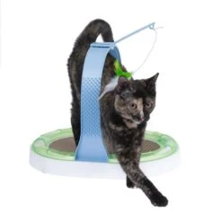 TIAKI Interactive 3-in-1 Cat Scratcher Toy 40 X 30 X 31.5 Cm (L X W X H) 17 TIAKI Interactive 3-in-1 Cat Scratcher Toy 40 X 30 X 31.5 Cm (L X W X H) -Zooplus Store dsc7170 5