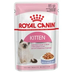 Royal Canin Wet Cat Food Saver Pack 24 X 85g Ageing +12 In Gravy -Zooplus Store pla royalcanin kitteninstinctive gelee 0 8