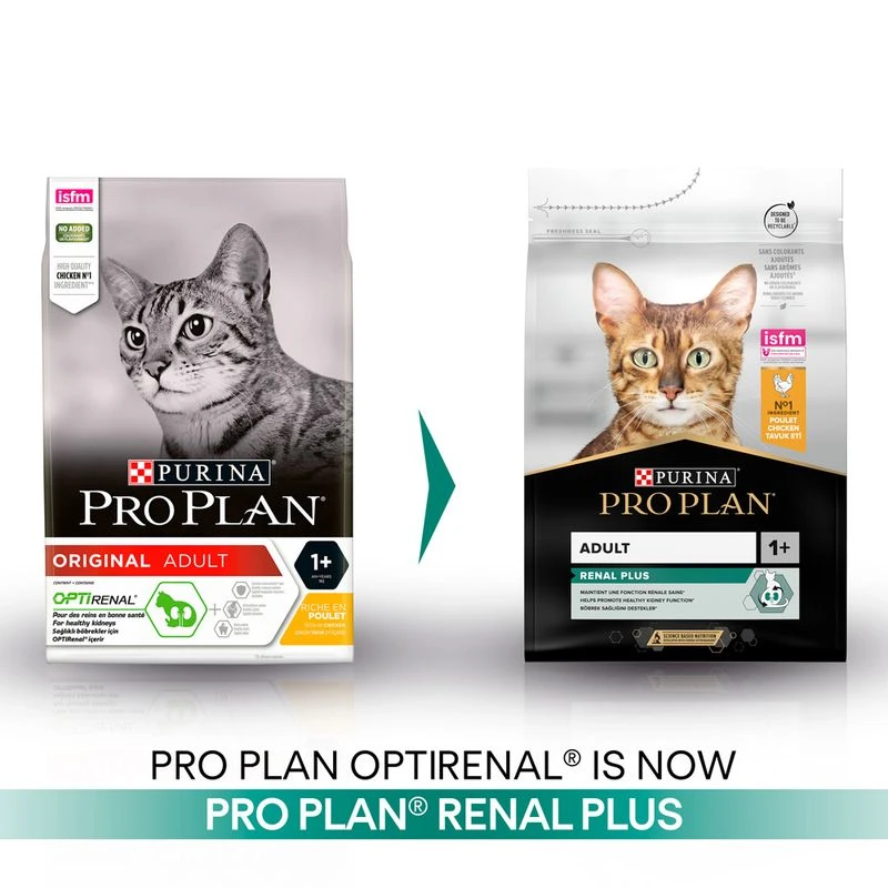 PURINA PRO PLAN Adult Renal Plus Rich in Chicken 10kg PURINA PRO PLAN Adult Renal Plus Rich In Chicken 10kg -Zooplus Store pu ppc transitionaltile renalplus uk 230323 1 1 3