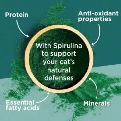 PURINA ONE Dual Nature Adult Chicken With Spirulina Economy Pack: 2 X 650g 4 PURINA ONE Dual Nature Adult Chicken With Spirulina Economy Pack: 2 X 650g -Zooplus Store puoedcduadustspbe23flavvdc1luk 8 1