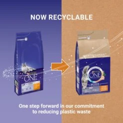 PURINA ONE Adult Chicken & Whole Grains Dry Cat Food Economy Pack: 2 X 9.75kg -Zooplus Store puoedcgoaadolch22npd2plguk 9 1