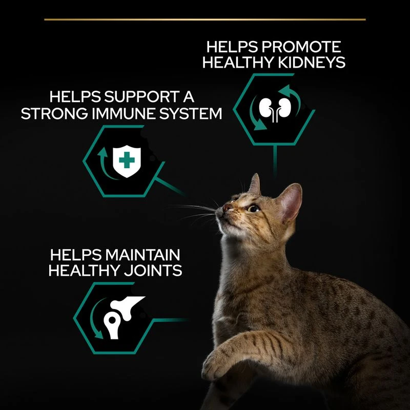 PURINA PRO PLAN Adult Renal Plus Rich in Chicken 3kg PURINA PRO PLAN Adult Renal Plus Rich In Chicken 3kg -Zooplus Store puprpndcadvrenoch23fnb2luk 4