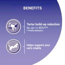 PURINA ONE Adult Salmon & Whole Grains Dry Cat Food Economy Pack: 2 X 9.75kg 4 PURINA ONE Adult Salmon & Whole Grains Dry Cat Food Economy Pack: 2 X 9.75kg -Zooplus Store purina one adult lachs mit vollkorngetreide uk 07 1