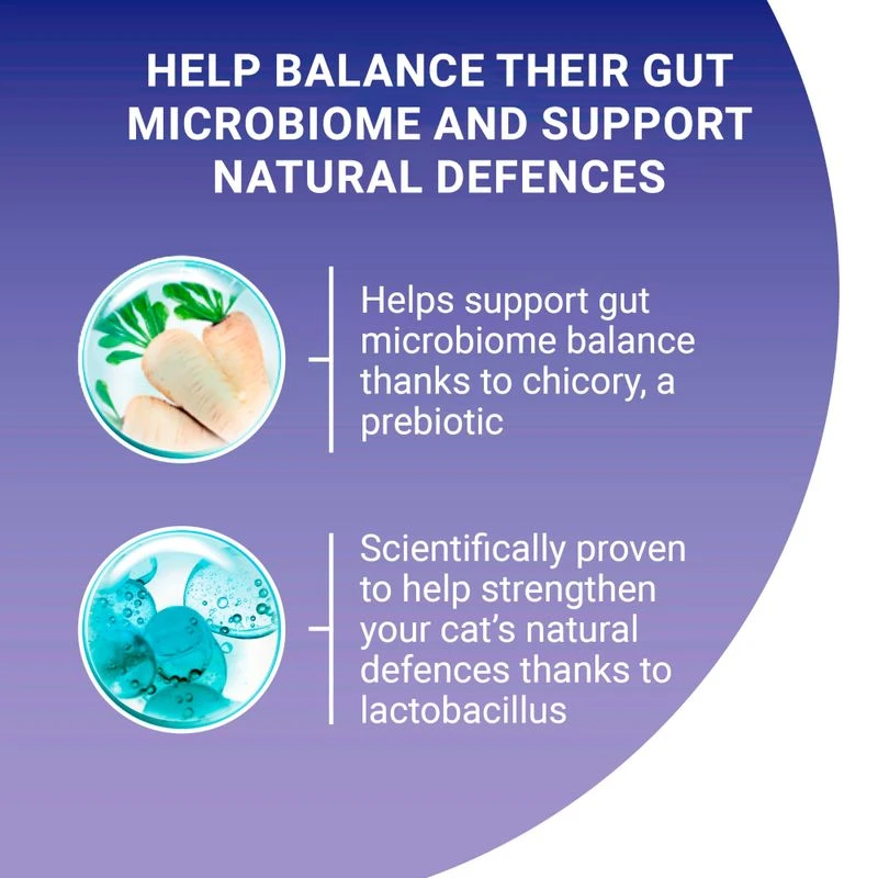 PURINA ONE Adult Salmon & Whole Grains Dry Cat Food 9.75kg PURINA ONE Adult Salmon & Whole Grains Dry Cat Food 9.75kg -Zooplus Store purina one adult lachs mit vollkorngetreide uk 08 7 1