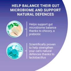 PURINA ONE Adult Salmon & Whole Grains Dry Cat Food Economy Pack: 2 X 9.75kg 5 PURINA ONE Adult Salmon & Whole Grains Dry Cat Food Economy Pack: 2 X 9.75kg -Zooplus Store purina one adult lachs mit vollkorngetreide uk 08 7