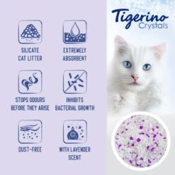 Tigerino Crystals Cat Litter Mixed Trial Pack 4 Varieties: Classic, Flower, Lavender & Aloe Vera (6 X 5l) 6 Tigerino Crystals Cat Litter Mixed Trial Pack 4 Varieties: Classic, Flower, Lavender & Aloe Vera (6 X 5l) -Zooplus Store tigerino boards benefits crystals lavander en 1000x1000 2