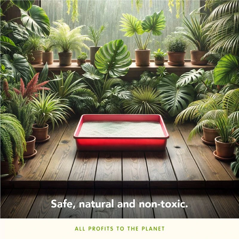 Almo Nature Cat Litter 2.27kg Almo Nature Cat Litter 2.27kg -Zooplus Store y 5 5